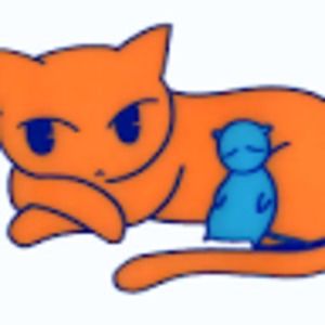 Meet your Posher, Di